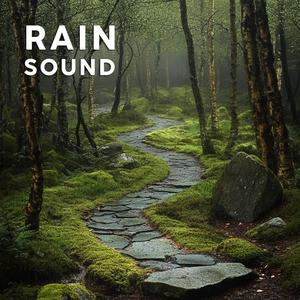 Forest Rain