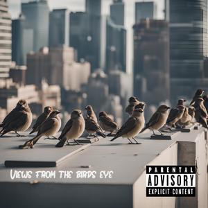 VIEWS FROM THE BIRD'S EYE (Explicit)