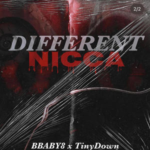 Different Nicca (feat. TinyDown) [Explicit]