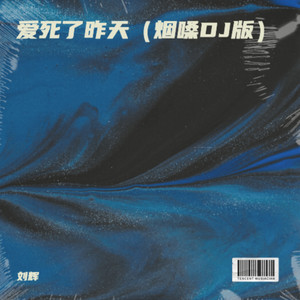 爱死了昨天 (烟嗓DJ版)封面