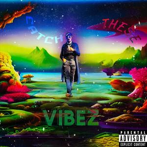 CATCH THESE VIBEZ (Explicit)