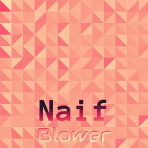 Naif Blower