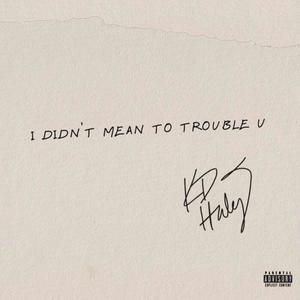 I Didn't Mean To Trouble U (Explicit)