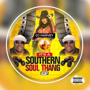 IT'S A SOUTHERN SOUL THANG EP