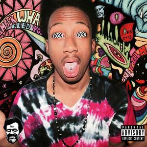 Psychodelia (Explicit)