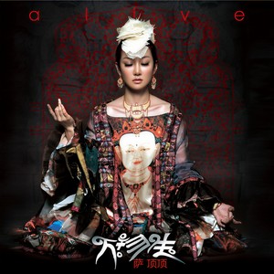 琴伤 (国语) - 萨顶顶封面