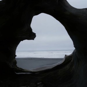 盛夏的果实-Dr.Phonk&古拉