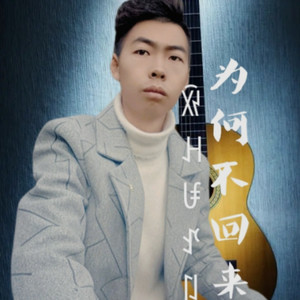 为何不回来