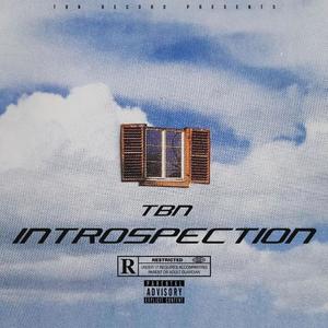 INTROSPECTION (Explicit)