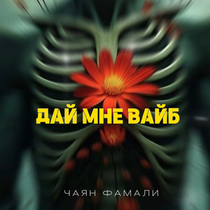 Дай мне вайб