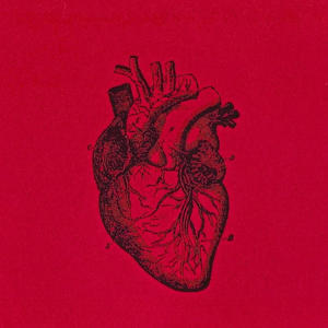 LUV SONG (feat. LUH TY) (Explicit)