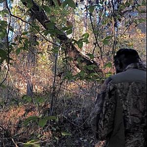 CERTIFIED (Explicit)