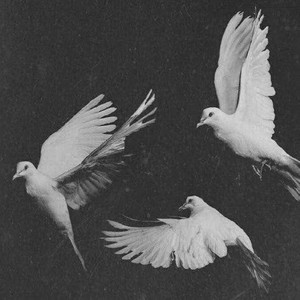 结束 (prod by Red killer)