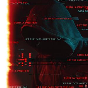 Let the cats outta bag (Explicit)