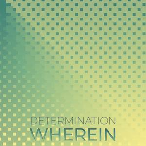 Determination Wherein