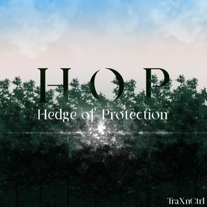 HOP Hedge of Protection