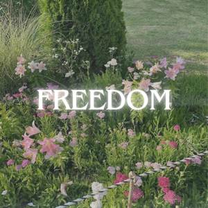 Freedom
