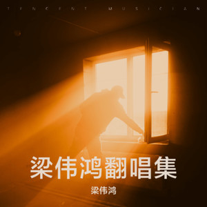 天命最高-梁伟鸿