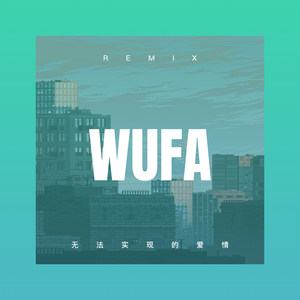 无法实现的爱情 (Remix)