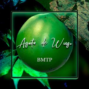 Aguita de Wingo
