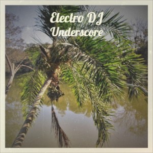 Electro DJ Underscore