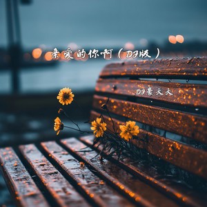 亲爱的你啊 (DJ豪大大版) - DJ豪大大封面