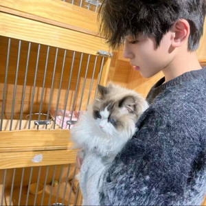 回忆的漩涡（快要把我吞没）