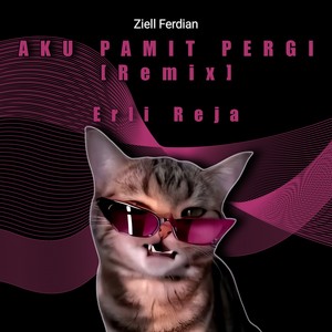 Aku Pamit Pergi (Remix)