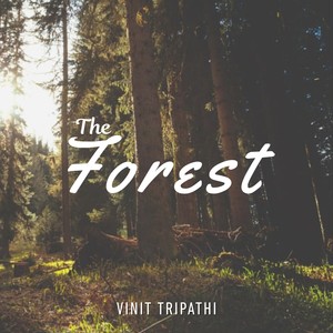 The Forest