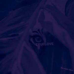 fell in love (purple)