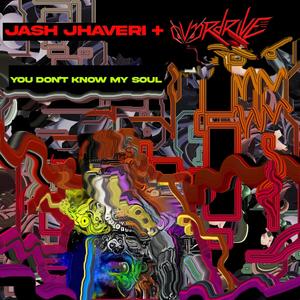 You Don't Know My Soul (Banga) (feat. Ov3rdrive) [Explicit]