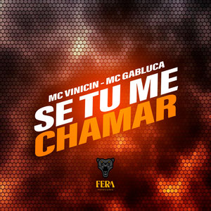 Se Tu Me Chamar (Explicit)