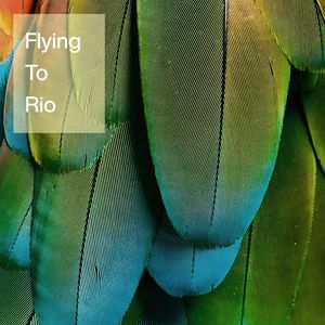 Flying to Rio