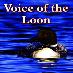 Voice of the Loon (Environment Series)