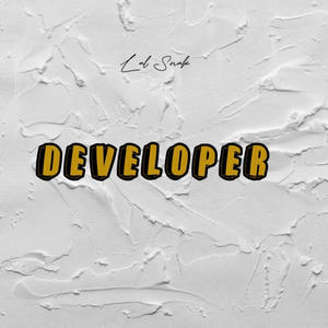 Developer (Explicit)