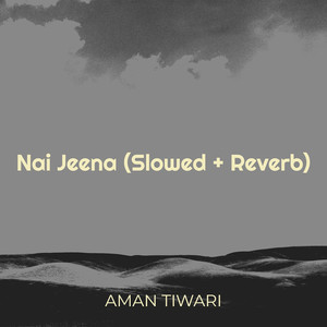 Nai Jeena (Slowed + Reverb)