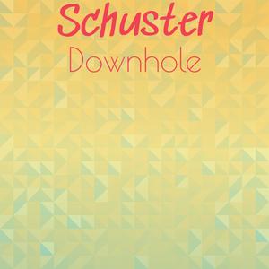 Schuster Downhole