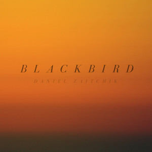 Blackbird