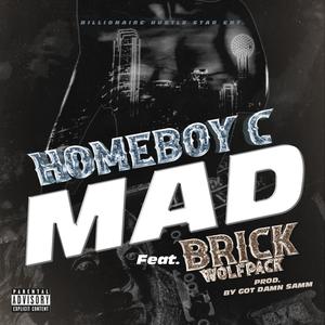 Mad (feat. Brick Wolfpack) [Explicit]