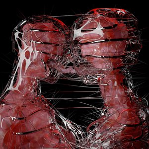B.O.T.S (ballad of toppled systems)