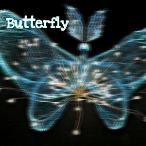 不想理你因为你不是Butterfly