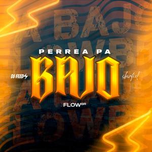 PERREA PA BAJO (feat. sheafiel)