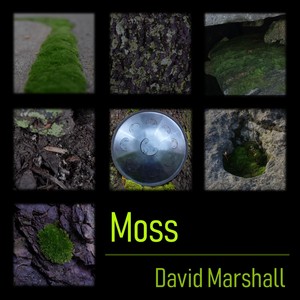 Moss