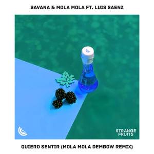 Quiero Sentir (feat. Luis Saenz) [Mola Mola Remix]