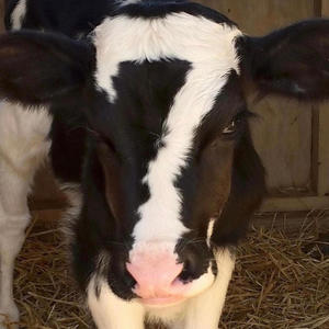 Wash My Hands (Explicit)