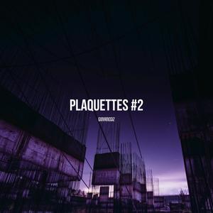 PLAQUETTES #2 (Explicit)