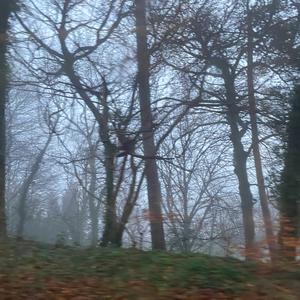 I just ate a granola bar (Slowcore)