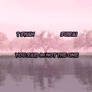 You Said Im Not The One