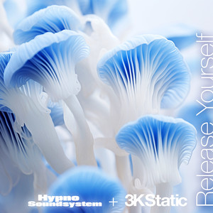 Release Yourself (3KStatic Remix)