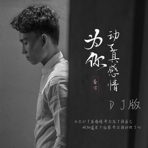 为你动了真感情 (DJ阿圣版)